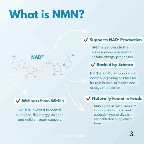 NMN Pure 500mg 60 Capsules