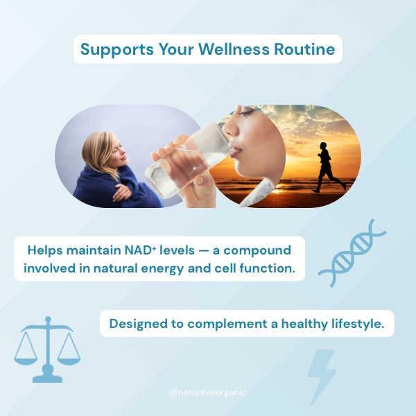 NMN Pure 500mg 60 Capsules